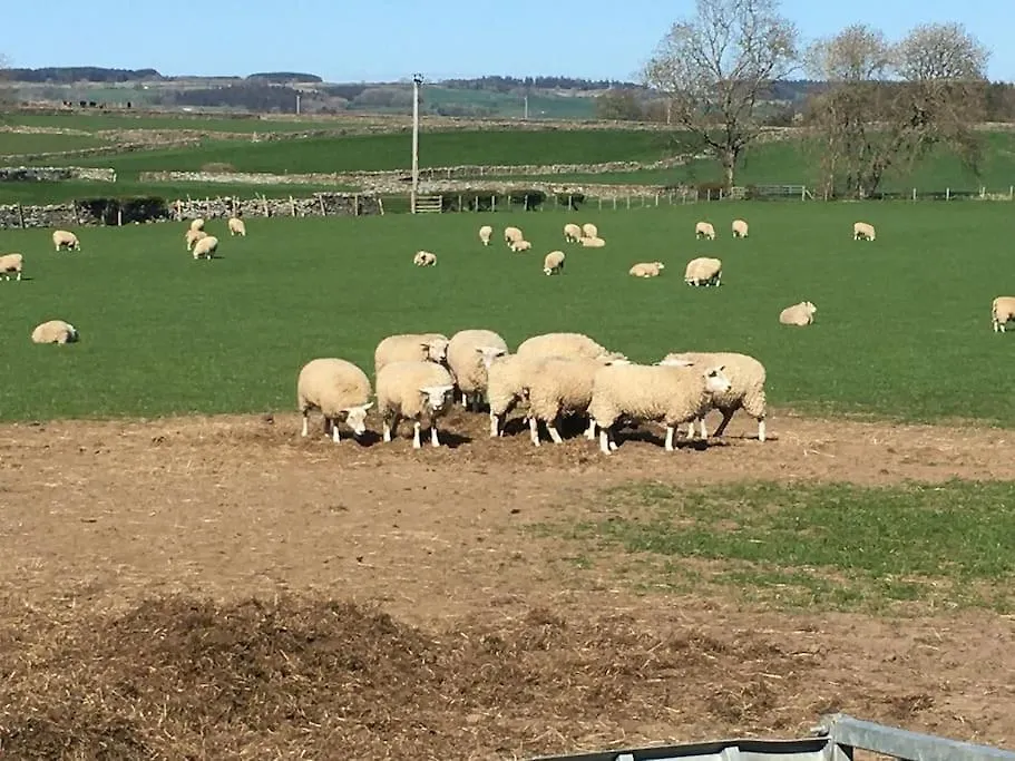 The Byre @ Cow Close - Stay, Rest And Play In The Dales. Leyburn Semesterbostad